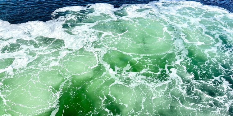 Por que os oceanos estão ficando mais verdes?