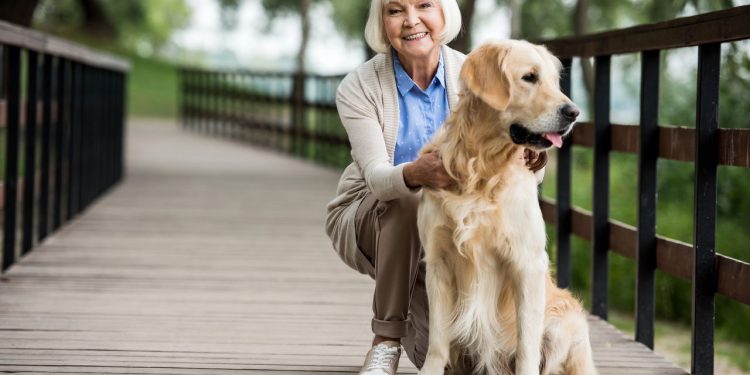 As melhores raças de cachorro para quem tem mais de 60 anos