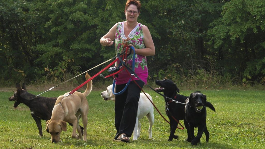 As melhores raças de cachorro para quem tem mais de 60 anos