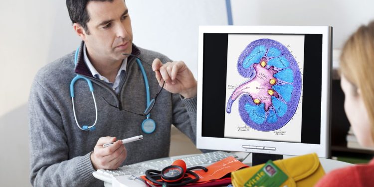 O hábito diário que mantém os rins funcionando bem por mais tempo segundo especialista