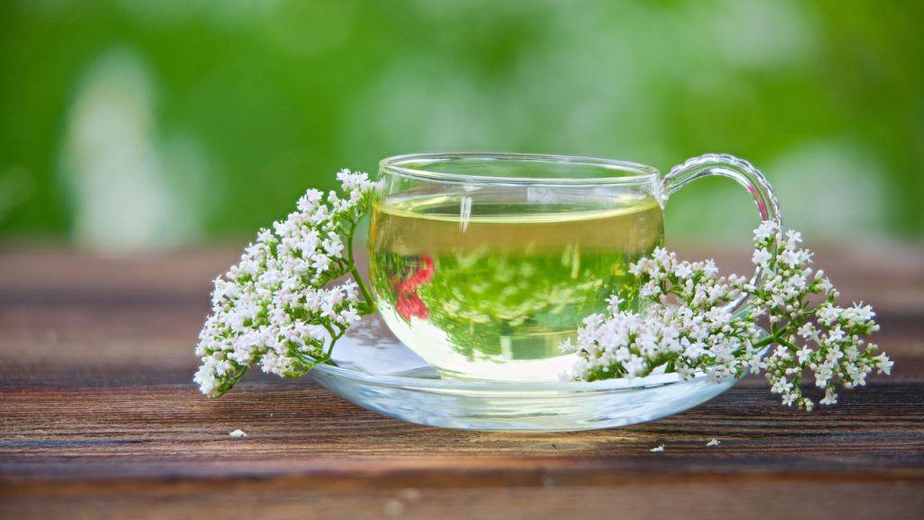 Chá de camomila vs chá de valeriana: qual ajuda mais no sono?
