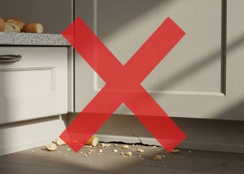 Adeus aos ratos: o truque para expulsá-los de casa com um ingrediente da cozinha, sem a necessidade de venenos