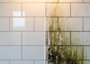 Diga adeus ao mofo nos azulejos do banheiro: basta fazer isso para que pareçam novos