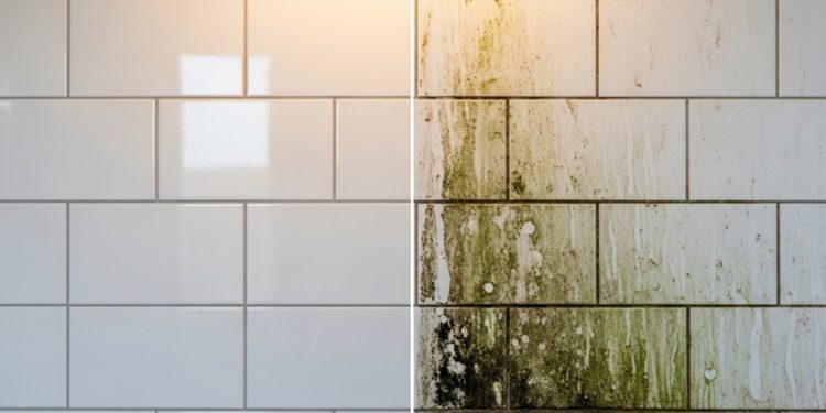 Diga adeus ao mofo nos azulejos do banheiro: basta fazer isso para que pareçam novos