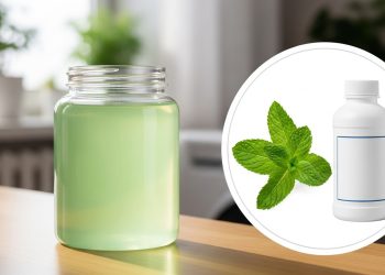 Como fazer desinfetante caseiro de hortelã com bicarbonato para limpar e perfumar a casa