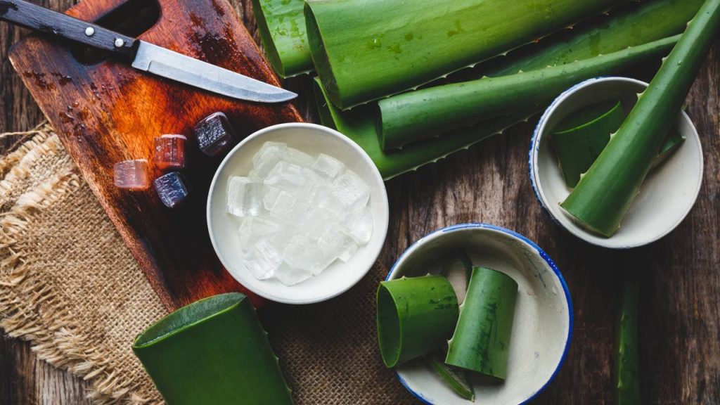 Aloe vera