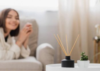 Purificador de ar natural que dura semanas e é fácil de fazer