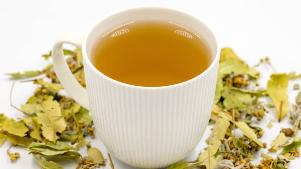 Plante suas ervas e prepare bebidas caseiras que surpreendem no sabor