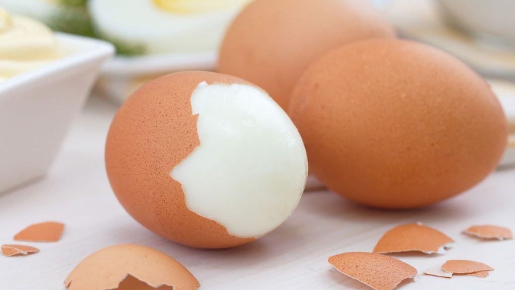 Ovo cozido é o aliado perfeito para quem quer praticidade na rotina