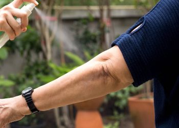 Sem químicos e sem desperdício: Como fazer um repelente de mosquitos natural com 3 ingredientes