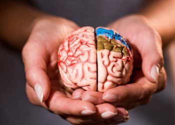 Seu cérebro pode aprender mais rápido com técnicas comprovadas