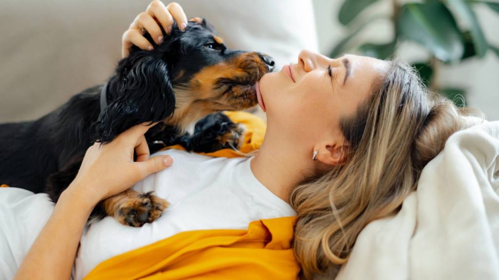 O cachorro com a barriga para cima pode estar querendo mais do que carinho