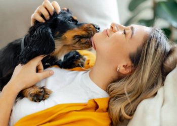 O cachorro segue você pela casa por segurança, mas às vezes o apego passa do ponto