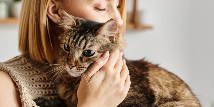 Muita gente não resiste ao contato com gatos: basta ver um felino relaxando para a mão ir direto ao pelo - Créditos: depositphotos.com / HayDmitriy