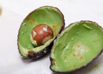 Misture casca de abacate e vinagre: por que recomendam fazer e para que serve?