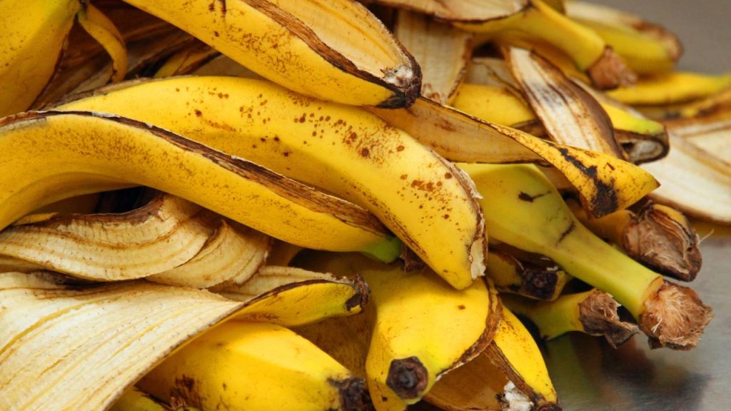 Adubo caseiro que faz suas plantas crescerem fortes e floridas