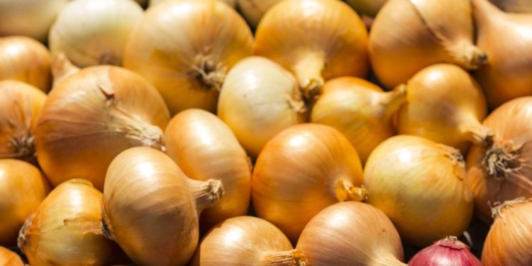 A cebola ideal para cada receita que você prepara