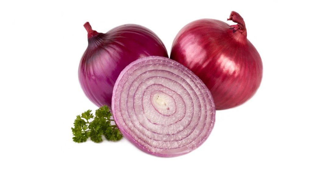 cebola