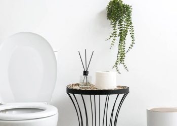 Faça seu banheiro cheirar bem com ingredientes caseiros