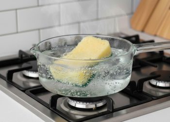 Ferver esponjas de cozinha em água: para que serve e por que você deve fazer isso toda semana?