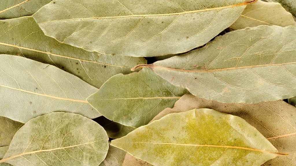 Misturar louro e bicarbonato de sódio: por que é recomendado e para que serve?