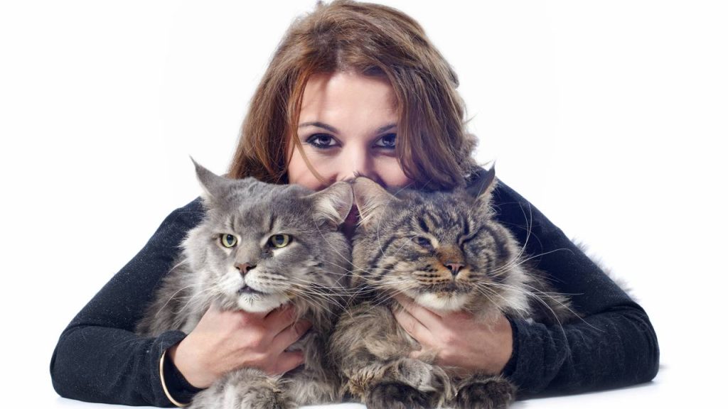 O que significa quando uma pessoa sempre faz carinho em gatos, segundo a psicologia?