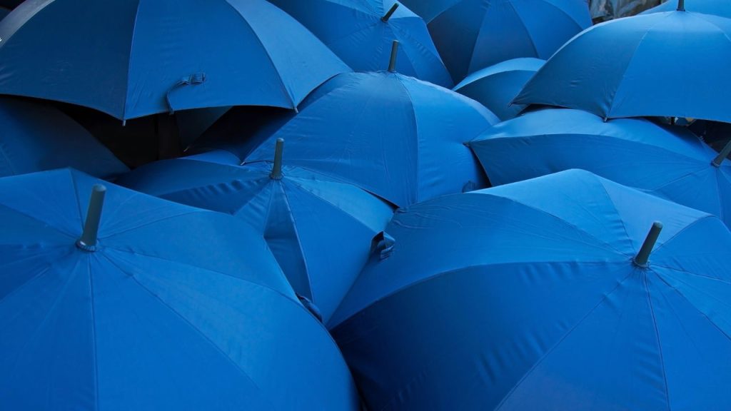 guarda-chuva 