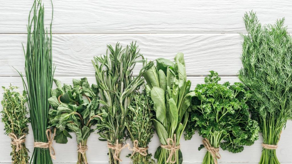 Plante suas ervas e prepare bebidas caseiras que surpreendem no sabor