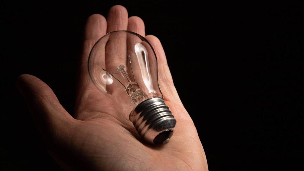 Transforme lâmpadas queimadas em mini-vasos e decore com custo quase zero