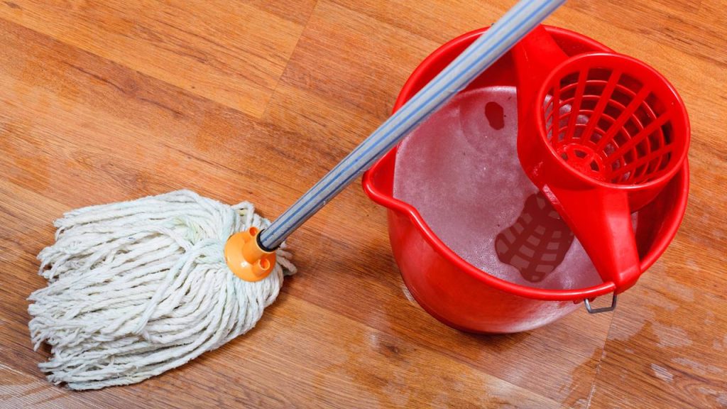 Como fazer desinfetante caseiro de hortelã com bicarbonato para limpar e perfumar a casa