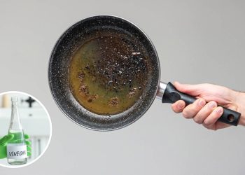 Vinagre e fogo: o truque que salva panelas queimadas!