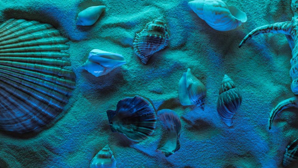Qual é o lugar mais profundo dos oceanos? A ciência responde