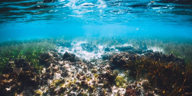 Qual é o lugar mais profundo dos oceanos? A ciência responde