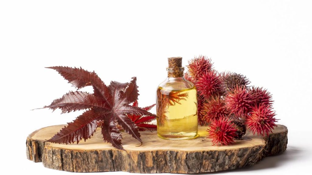 O óleo natural que deixa as sobrancelhas mais grossas e hidratadas