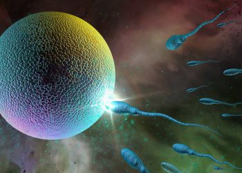 Cientistas criam óvulos humanos a partir de células da pele