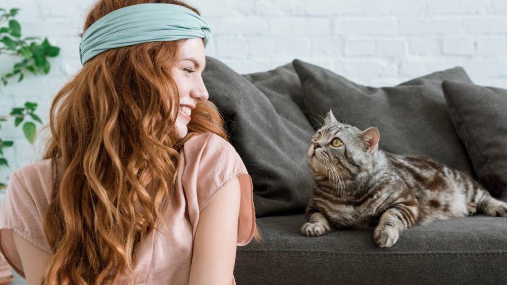 A forma silenciosa que os gatos usam para aliviar dor e reforçar o vínculo