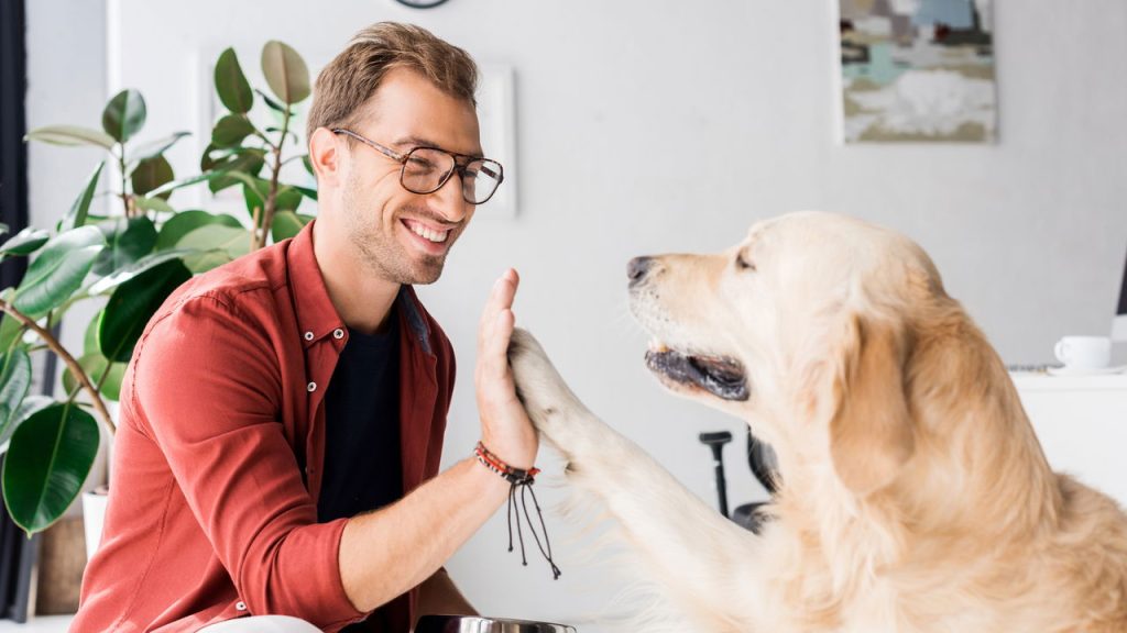 Ter um pet pode trazer mais felicidade que ganhar na loteria
