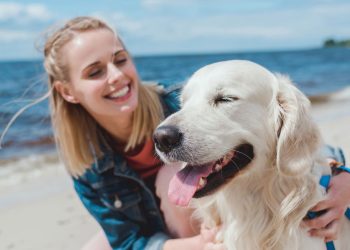 Ter um pet pode trazer mais felicidade que ganhar na loteria