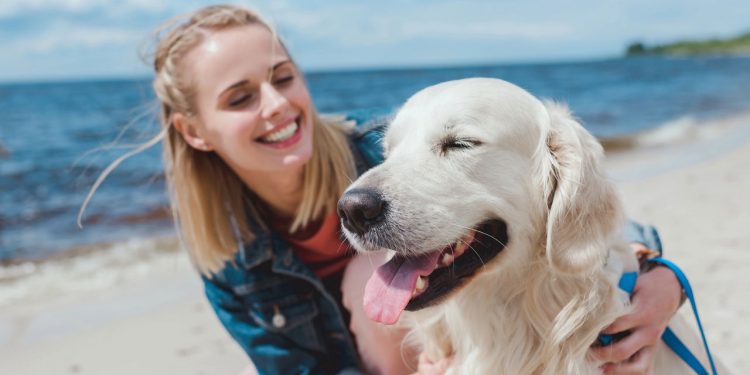 Ter um pet pode trazer mais felicidade que ganhar na loteria