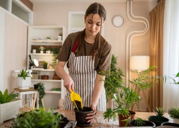 As plantas mais fáceis de cuidar para começar na jardinagem