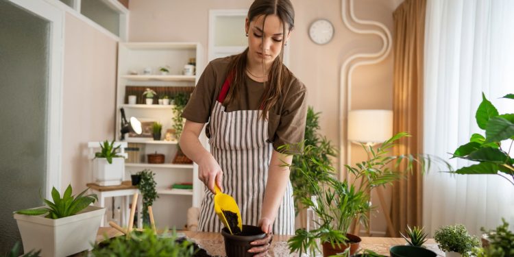 As plantas mais fáceis de cuidar para começar na jardinagem