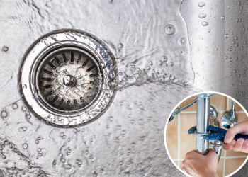 Dica simples de engenheiros químicos para que os seus ralos não cheirem mal