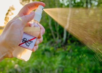 A receita caseira que afasta pragas da casa e ainda deixa aroma agradável