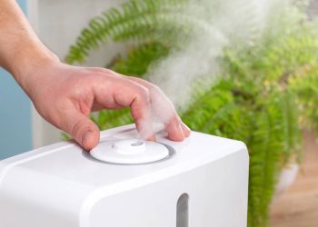 Como limpar o umidificador de ar sem gastar nada