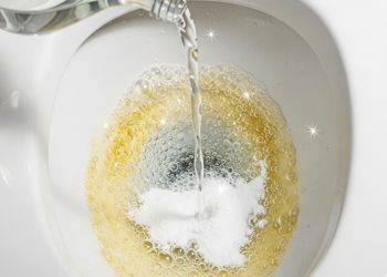O truque que limpa seu vaso sanitário enquanto você dorme