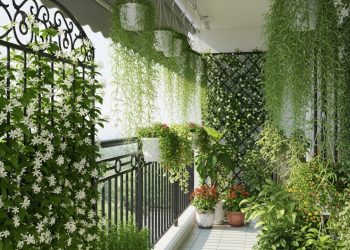 Como tornar sua varanda mais verde e fresca na primavera