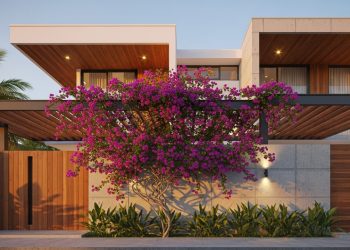 A planta que floresce o ano todo e virou uma das preferidas entre os brasileiros por unir beleza e praticidade
