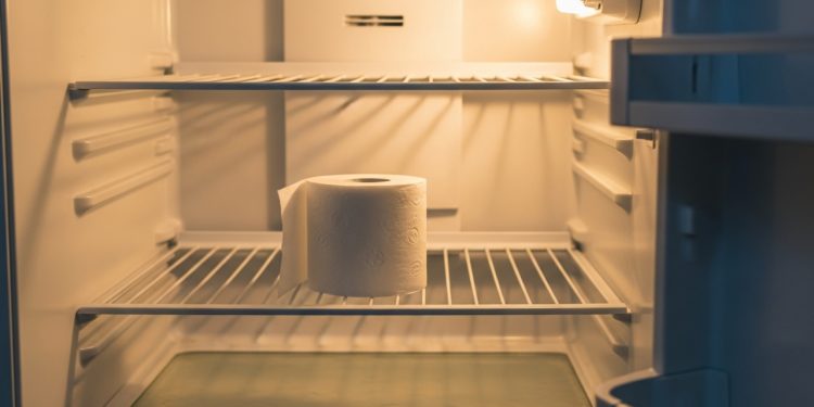 Colocar um rolo de papel higiênico na geladeira: por que é recomendado e para que serve
