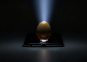 Aprenda a testar a qualidade do ovo com o flash do celular em segundos