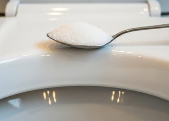 Por que o sal deve ser jogado no vaso sanitário e com que frequência deve ser feito?